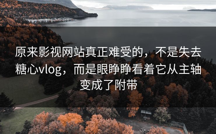 原来影视网站真正难受的，不是失去糖心vlog，而是眼睁睁看着它从主轴变成了附带