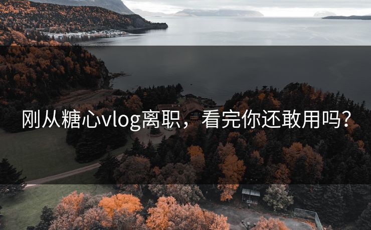 刚从糖心vlog离职，看完你还敢用吗？