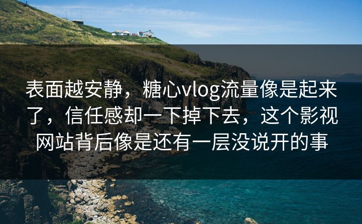 表面越安静，糖心vlog流量像是起来了，信任感却一下掉下去，这个影视网站背后像是还有一层没说开的事